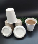 Biodegradable Tableware Sugarcane Bagasse sugarcane Coffee Cup with Lids